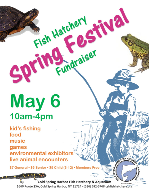Volunteer Opportunity at the CSH Fish Hatchery